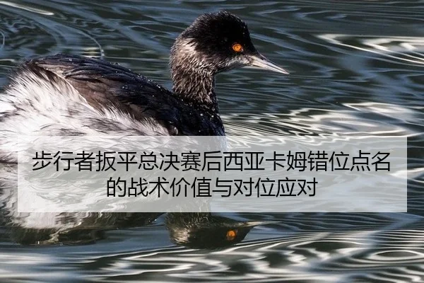 bu-xing-zhe-ban-ping-zong-jue-sai-hou-xi-ya-ka-mu-cuo-wei-dian-ming-de-zhan-shu-jia-zhi-yu-dui-wei-ying-dui-1-553.jpg